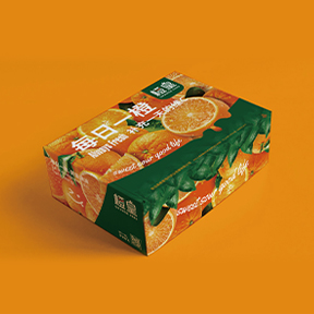 橙皇品牌设计